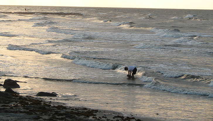 Galveston